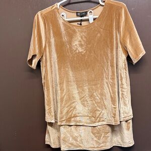 DG2 by Diane Gilman Short Sleeve Velvet Top in Gold